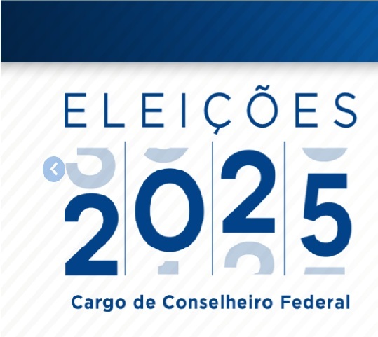 ELEIÇÕES DO SISTEMA CONFEA/CREA E MÚTUA 2025 - CONSELHEIROS FEDERAIS